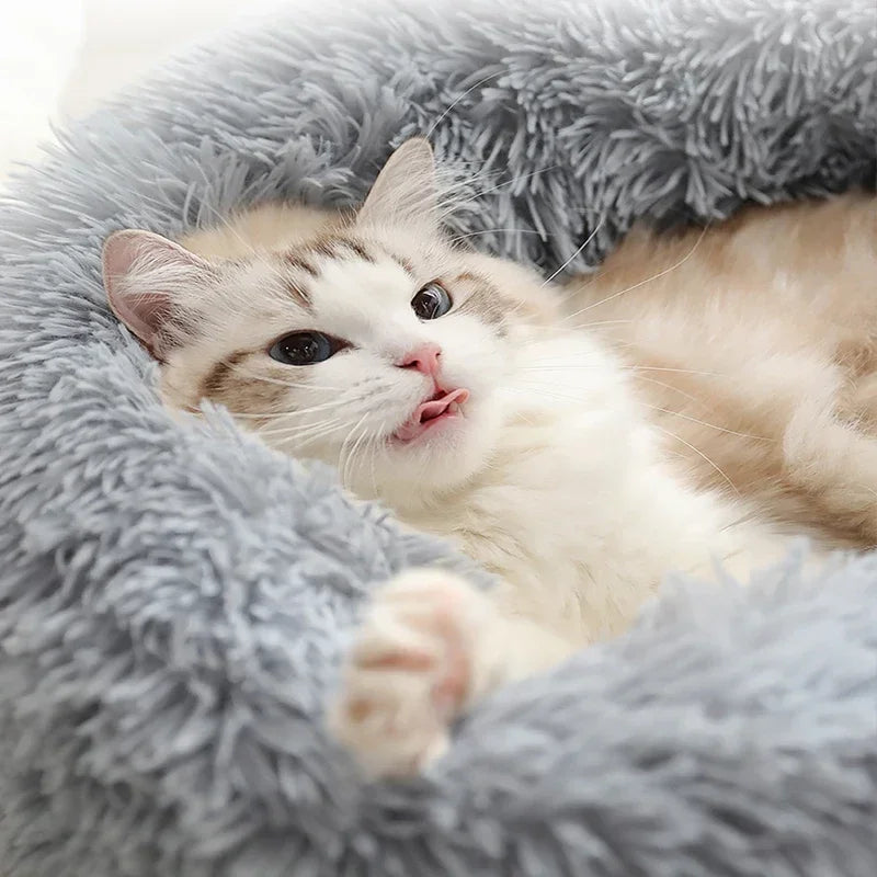 Plush Round Pet Bed - Warm, Non-Slip Cushion for Cats & Dogs (40-100cm)